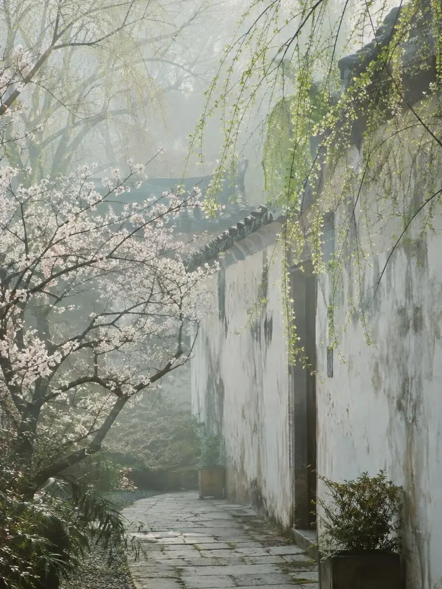 春季主题封面：早春庭院中淡粉梅花与新绿柳枝，白墙灰石径